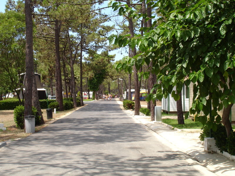 Parque De Campismo Orbitur Gala Otel Figueira da Foz Dış mekan fotoğraf