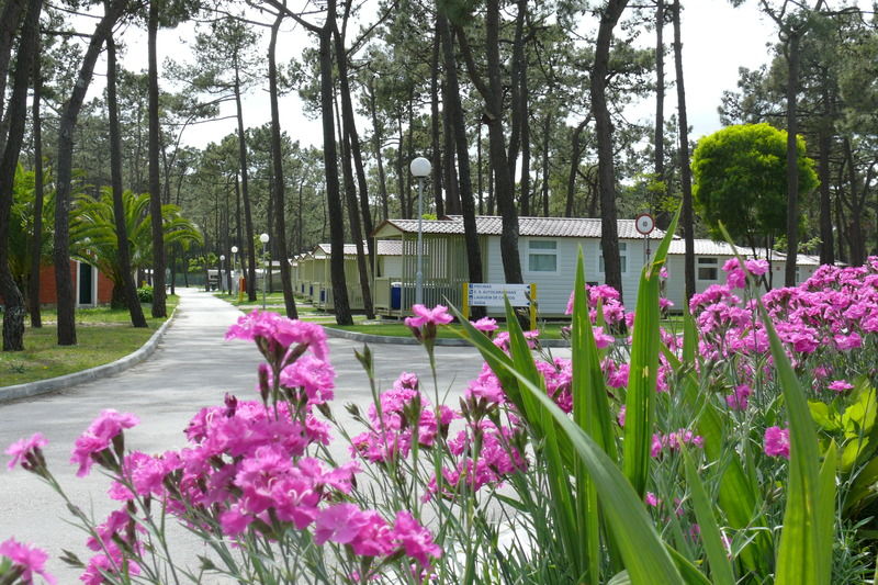 Parque De Campismo Orbitur Gala Otel Figueira da Foz Dış mekan fotoğraf